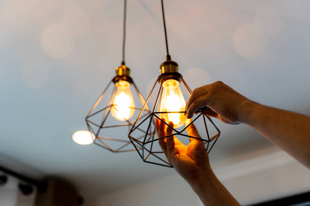 Best Licensed Electrician  in Watervliet, MI